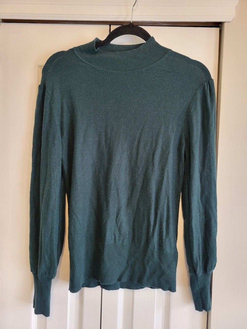 Dark Green Medium Rachel Zoe Women's Sweater